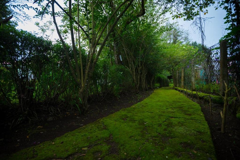 Hotel Kodai International Tamilnadu - Tamilnadu - Kodaikanal Esterno foto